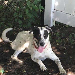 Meet your Posher, Jami